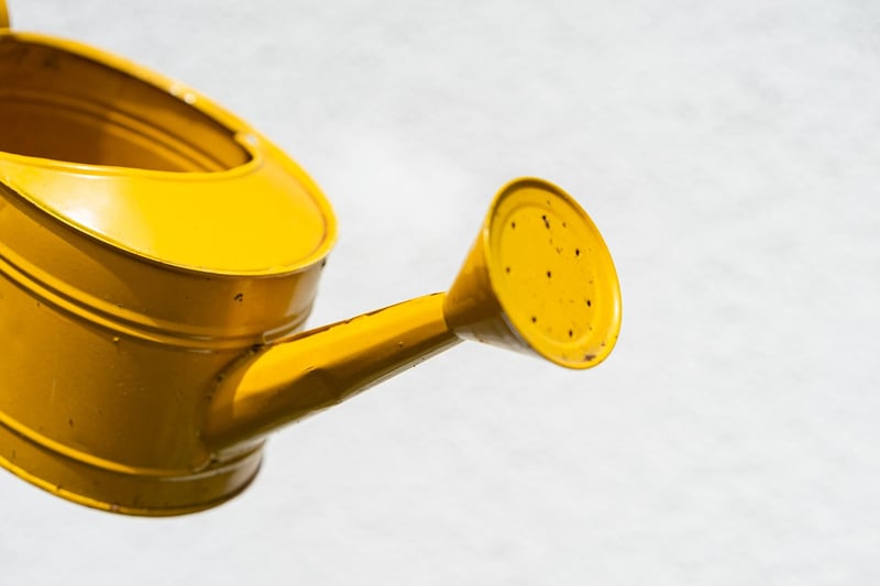 Watering can
